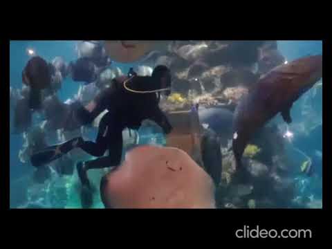 Doclet beach. Пляж Доклет летом 2020