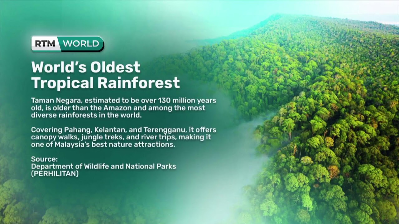 BERITA RTM [ LANGSUNG ]