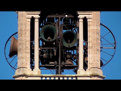 Le campane di Bollate (MI) - Distesa e rintocchi