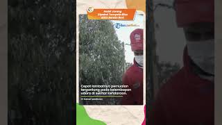 Mobil Jarang Digunakan Ternyata Bisa Bikin Bensin di Tangki Basi, Ini Penjelasannya