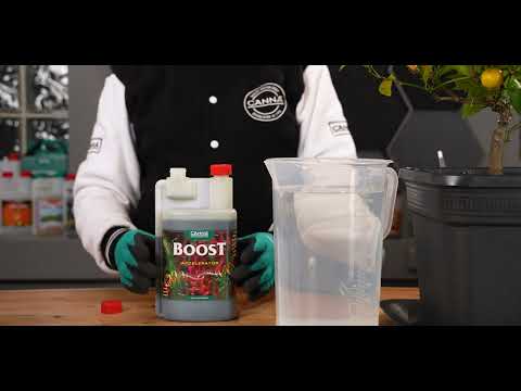 How to use CANNA BOOST