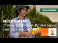 Семена кукурузы КВС КАШЕМИР (KWS) - гибрид ФАО 380 PLUS4GRAIN с крупным зерном