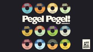 Stereo Luchs - Pegel Campus