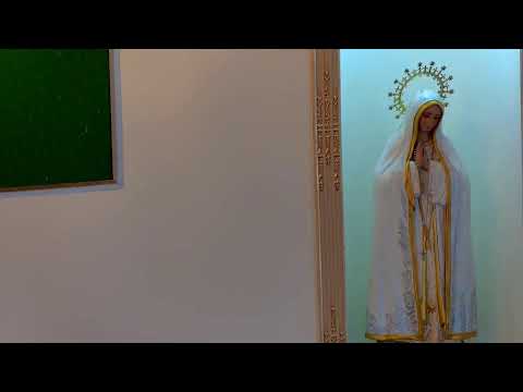 Santa María Magdalena nos anuncia al Resucitado. Participemos con fe en la Santa Misa.