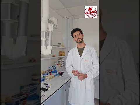 Video of Marco Signorini