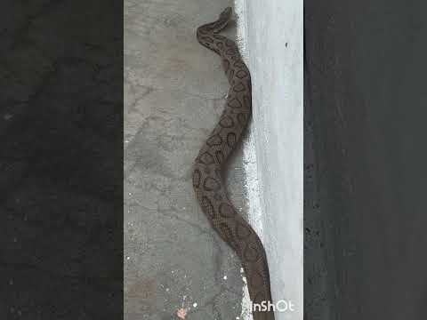 #take care#funnyshorts