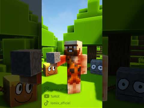 The different types of servers on Minecraft!