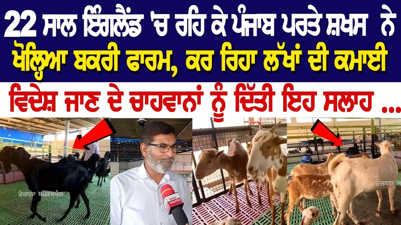 Goat Farm : 22 ਸਾਲ ਇੰਗਲੈਂਡ 'ਚ ਰਹਿ ਕੇ ਪੰਜਾਬ ਪਰਤੇ ਸ਼ਖਸ ਨੇ ਖੋਲ੍ਹਿਆ ਬਕਰੀ ਫਾਰਮ Goat Farm : 22 ਸਾਲ ਇੰਗਲੈਂਡ 'ਚ ਰਹਿ ਕੇ ਪੰਜਾਬ ਪਰਤੇ ਸ਼ਖਸ ਨੇ ਖੋਲ੍ਹਿਆ ਬਕਰੀ ਫਾਰਮ