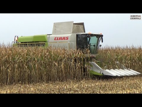 Mais dreschen im Regen - Claas Lexion 740 nonstop im Einsatz - Landw. Lohnbetrieb Zollner