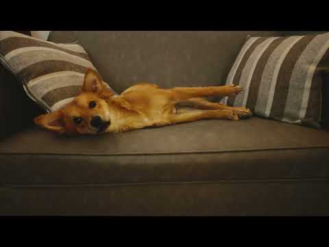 isaintjames - Roll With It