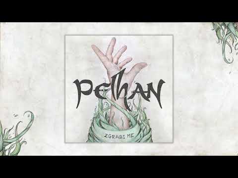 PELHAN - Ne grem domov (Official audio)