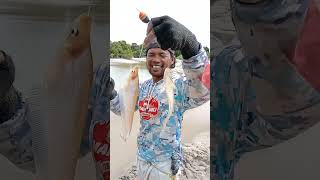 Download lagu waw mengejutkan tiba-tiba menyambar ternyata strike nya kayak lato lato lor?#shorts mp3 Download lagu waw mengejutkan tiba-tiba menyambar ternyata strike nya kayak lato lato lor?#shorts mp3