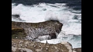 One Life Cafe Del Mar Vol 12