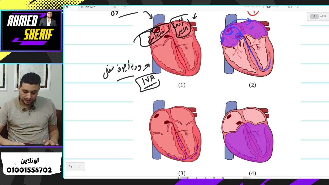 ازاي القلب بينبض شرح منشأ ضربات القلب