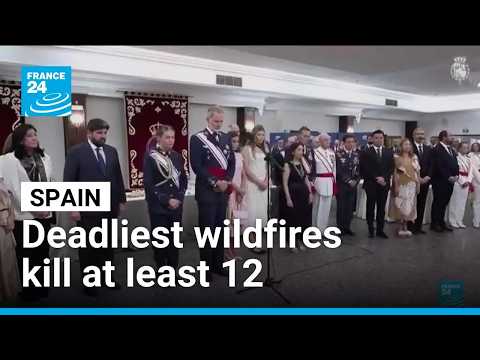 Spanish royals mark minute of silence for wildfire victims