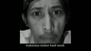 Download lagu status wa kata kata bijak jangan sombong mp3