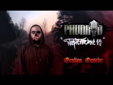 Phunk B - Grădina oaselor | prod. gAZAh