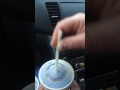 Seagulls In McDonalds
