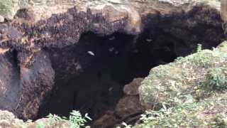 preview picture of video 'Monfort Bat Sanctuary'