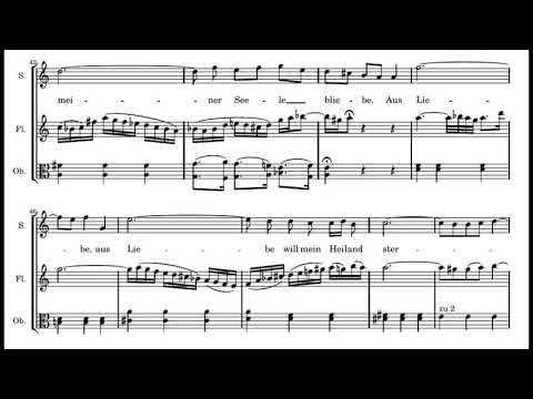 Bach: St. Matthew Passion - 49. Aus Liebe will mein Heiland sterben - Herreweghe