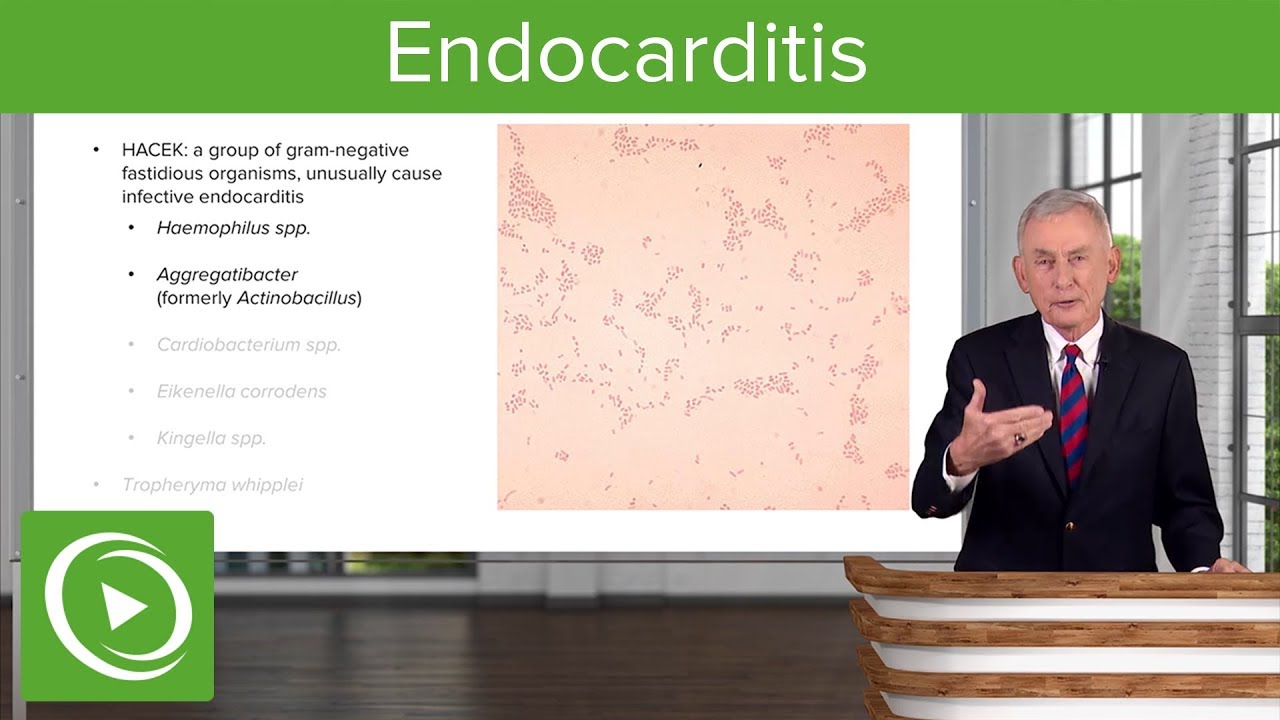 Endocarditis: Definition, Pathology, Classification & Diagnosis – Infectious Diseases | Lecturio - YouTube