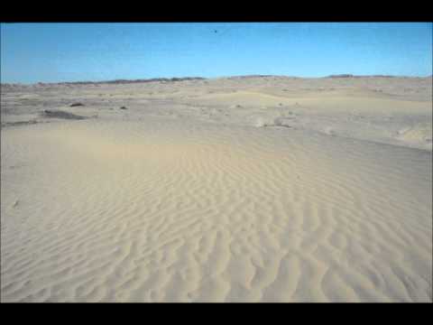 Thomas  In den Sand gesetzt.wmv