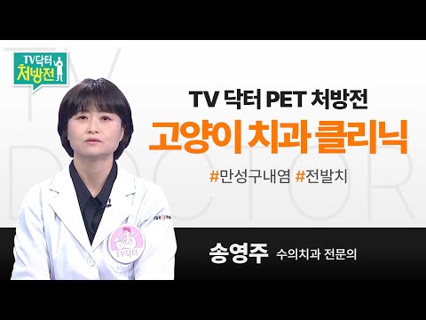 [TV닥터처방전] TV 닥터 PET 처방전 고양이 치과 클리닉