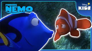 Just Keep Swimming | Finding Nemo | Disney Kids