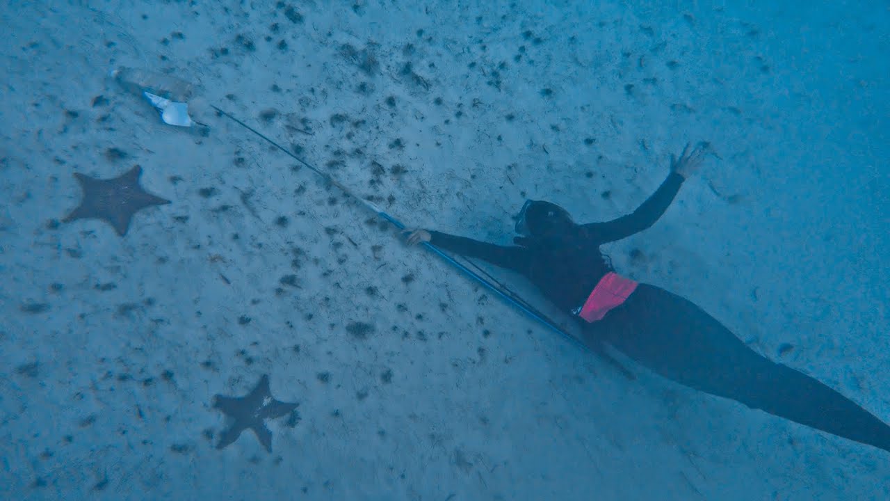 How-To Spearfish with a Pole Spear In The Bahamas (Day 25/100 Day Water World Challenge)