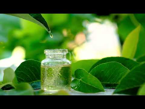 Merriment Brand 15 ml Aroma Oil - Lemongrass