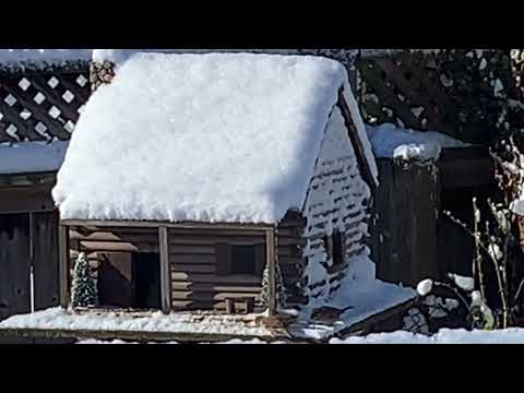 Log Cabin Bird Feeder -  Watch The Sparrows Feed After The First Snowfall Of 2022