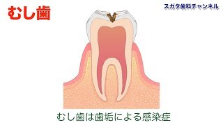 医療法人社団　スガタ歯科医院