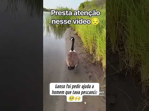 Verdade divina: reflexões profundas para sua jornada espiritual.