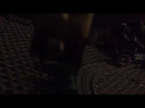 Railway series 76 anaversary