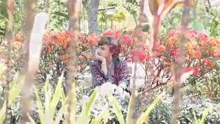 Download lagu Cinta terlarang-jihan audy[official] mp3