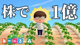 【あつ森】株で1億ベル稼ぐ男【あつまれどうぶつの森】