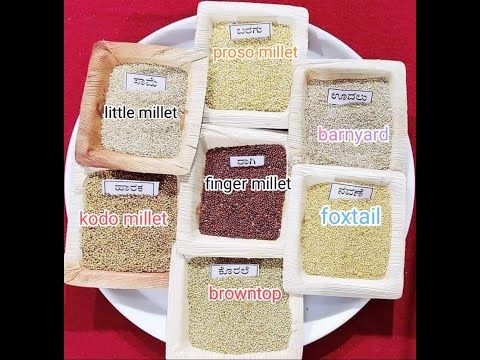Indian organic pearl millet, for healthy natural food
