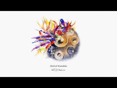 Refuge - Mark D'Ambrosio