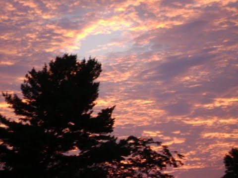 Bob Lind - Elusive Butterfly (extended mix)