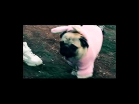 Kaskata - freestyle NEFTOHIMIK FEN VIDEO