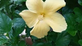 Download lagu BANDUNG YOGYA mp3 Download lagu BANDUNG YOGYA mp3