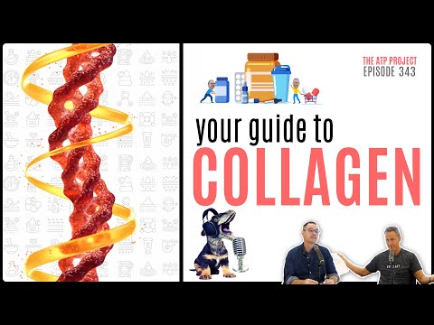 Your Guide To Collagen | The ATP Project 343