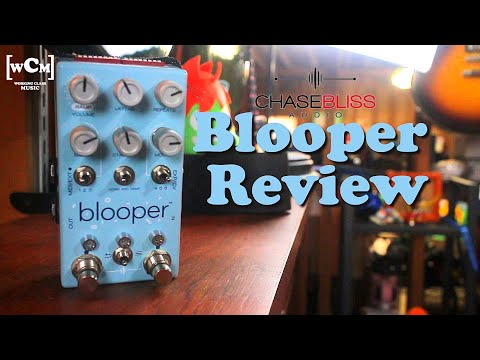 Blooper Looper Pedal (Chase Bliss Audio) Review | Working Class Music