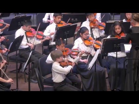 TCSYO Chamber Orchestra - The Emerald Falcon