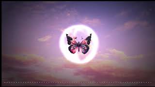 Download lagu Butterflies - Giulio Cercato [1 hour] mp3