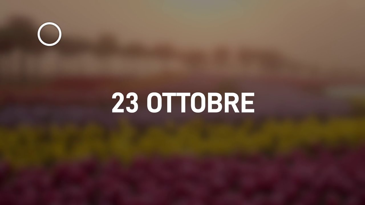 23 Ottobre 2024 | Meditazione Parole di Vita