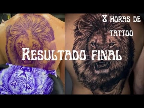 leão nas costa em uma única sessão.