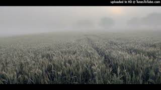 Reamon- Falling down (goliat)