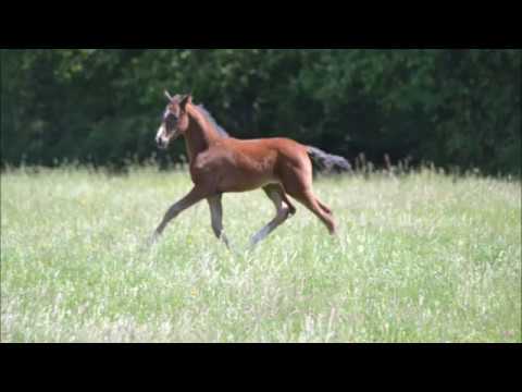 QUATERDREAM juin 2016, 2 mois 1/2