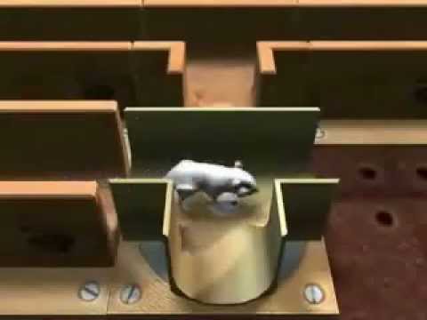 Mouse Trophy Playstation 2